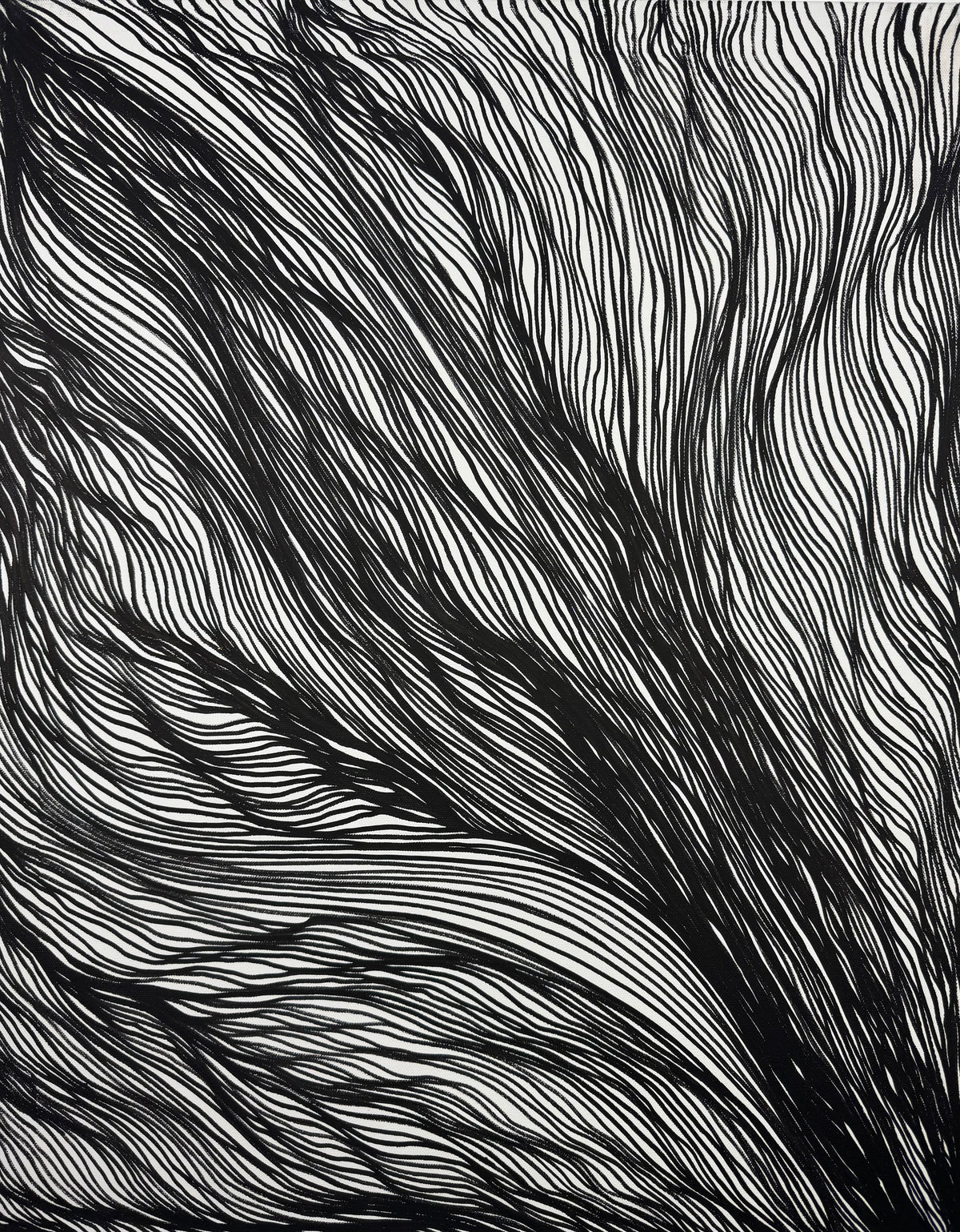 Palm Frond