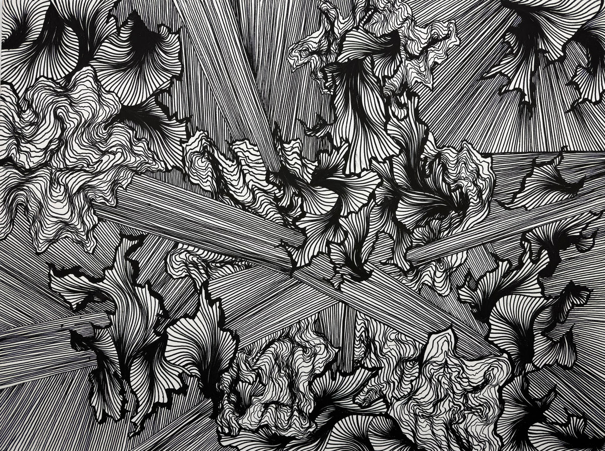 Terra//Linee