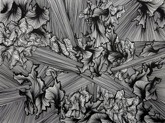 Terra//Linee